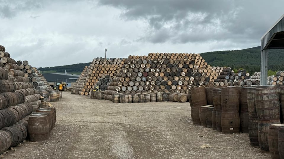 Sustainable Whisky and Spirits For Eco-Conscious Drinkers